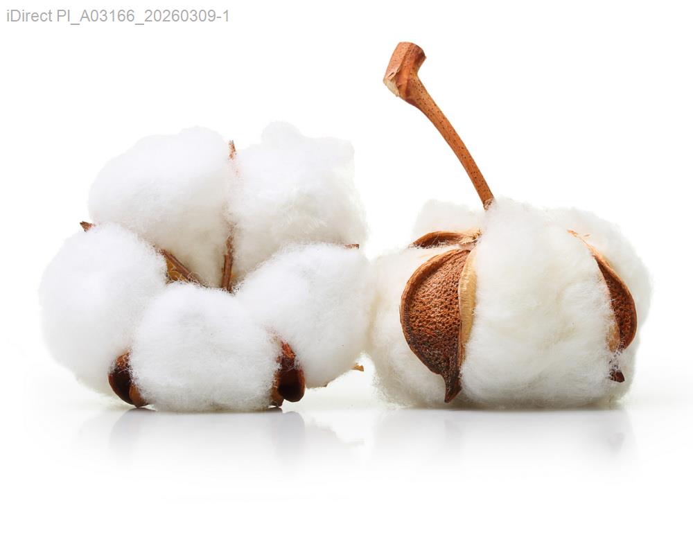 為什麼小包包搭上大衣，讓我比明星還自信？示意圖